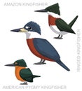 Cute Bird Green Kingfisher Mexico Set Cartoon Vector