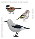 Cute Bird Pine Siskin Clark`s Nutcracker Chestnut-backed Chickadee Set Cartoon Vector