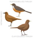 Cute Bird Rufous-Bellied Thrush Cocoa Set Cartoon Vector