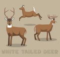 Deer White-tailed Cartoon Vector Illustration Royalty Free Stock Photo