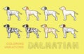 Dog Dalmatian Coloring Variations Vector Illustration