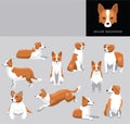 Dog Welsh Sheepdog Cartoon Vector Illustration Color Variation Set
