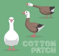 Domestic Goose Cotton Patch Cartoon Vector Illustration