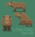 Lowland Tapir Cute Cartoon Vector Illustration