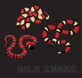 Milk Snake Cartoon Vector Illustration