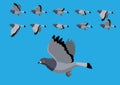 Pigeon Flying Motion Animation Sequence Cartoon Vector Illustration