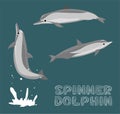 Spinner Dolphin Cartoon Vector Illustration