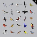 Various Birds Cartoon Vector Illustration 6