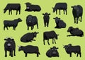 Various Black Cow Bull Cartoon Vector Illustration