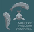 Yangtze Finless Porpoise Cartoon Vector Illustration Royalty Free Stock Photo