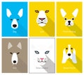 Animal cartoon faces, cute flat portrait icon, vector illustration Royalty Free Stock Photo