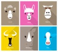 Animal cartoon faces, cute flat portrait icon, vector illustration Royalty Free Stock Photo
