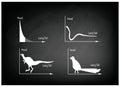 Animal Cartoon Of Fat Tailed And Long Tailed Distributions