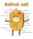 Animal cell anatomy