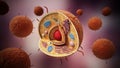 Animal cell structure. 3D illustration Royalty Free Stock Photo