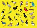 Asian Birds with Name Cartoon Character Set 1