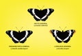Butterfly White Admiral Set Vector Illustration