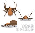 Crab Spider Cartoon Vector Illustration