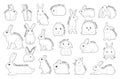 Rabbit Set Various Kind Identify Cartoon Vector Black and White Royalty Free Stock Photo