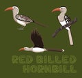 Red Billed Hornbill Cartoon Vector Illustration