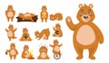 Animal character. Funny bear actions. Happy creature sleeping on wood and eating honey. Forest wildlife. Thinking and