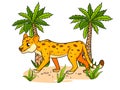 Animal character funny cheetah in cartoon style. Children's illustration.