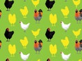 Chicken Wallpaper 4