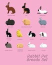 Rabbit Pet Breeds Set Cartoon Vector Illustration Royalty Free Stock Photo