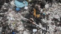 Animal chewed toothbrush found on white Corel Yucatan Mexico beach