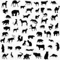 Animal collection silhouettes Royalty Free Stock Photo