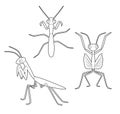 Insect Set Cute Mantis Cartoon Vector Coloring Book