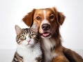 Animal Companionship: Happy Dog and Cat Together on White Background. Generative ai Royalty Free Stock Photo