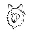 Animal coyote icon design. Vector, clip art, illustration, line icon design style