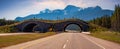 Animal crossing bridge across Trans-Canada Highway in Banff