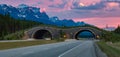 Animal crossing bridge across Trans-Canada Highway in Banff. Sunrise