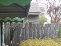 Squirrel on a Fence