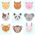 Animal cute circle head vector illustration , cat,squirrel,pig,dog,panda,koala,fox,monkey,rabbit