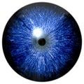 Animal 3d eyeball colorized texture