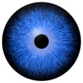 Animal 3d eyeball colorized texture