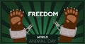 Animal day freedom concept of bear breaking chain Royalty Free Stock Photo