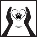 Animal dog paw in people hand1