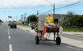 animal-drawn wagon