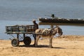 animal-drawn wagon