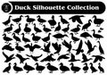 Animal duck silhouette Vector Collection