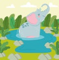 Animal elephant water