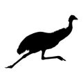 Animal Emu Dromaius Novaehollandiae Silhouette Found In Map Of Oceania