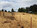 Animal enclosure on farm with horses, dirt, and poop