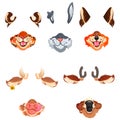 Animal face masks for social networks, selfie Royalty Free Stock Photo