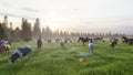 Animal farm. Grazing on a green meadow animals. Farm with Pets. Animal husbandry and nature. 3D Rendering Royalty Free Stock Photo