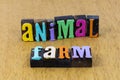 Animal farm life domestic livestock country rural food harvest market Royalty Free Stock Photo